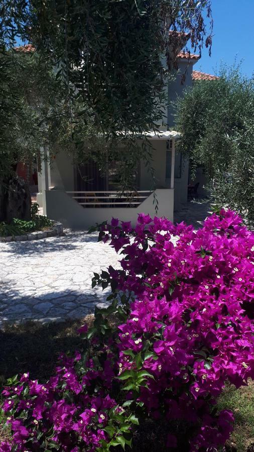 Sivota Apartments Parthenia Exteriér fotografie
